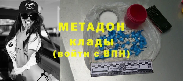 шишки Заволжье