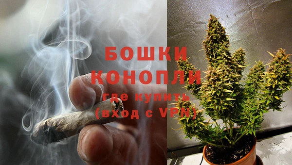 шишки Заволжье