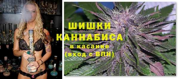шишки Заволжье