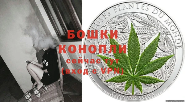 шишки Заволжье