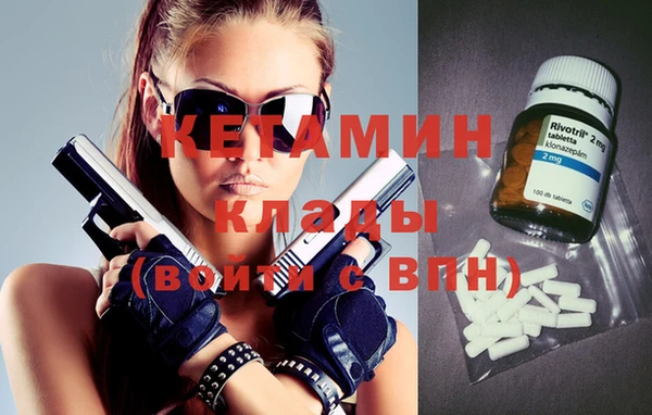 шишки Заволжье