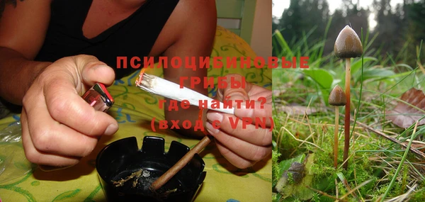 шишки Заволжье