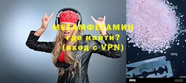 шишки Заволжье