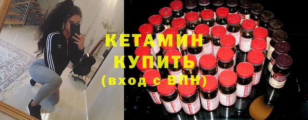 шишки Заволжье