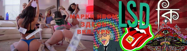 СК Заволжск
