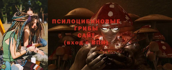 MDMA Заводоуковск
