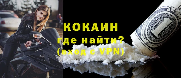 шишки Заволжье